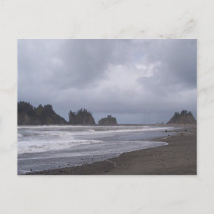 First Beach At LaPush Postcard