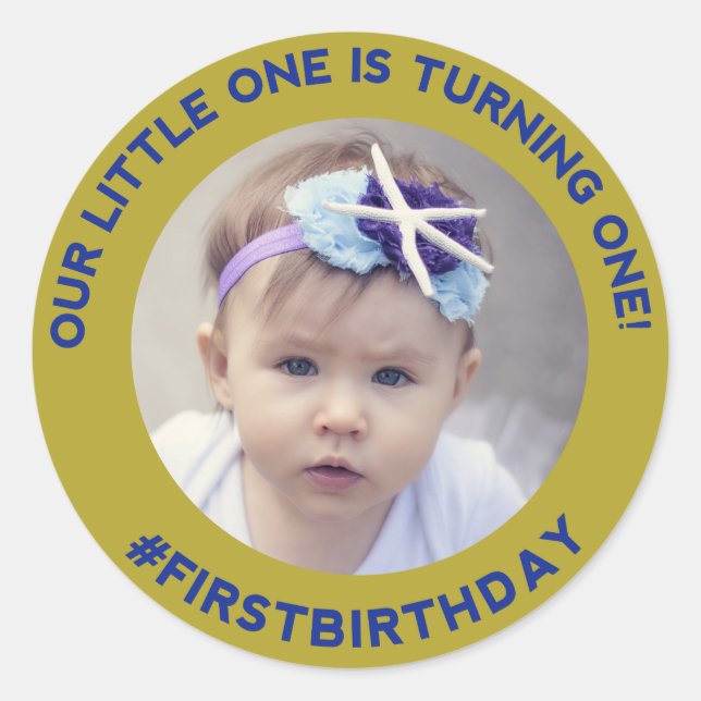 First Birthday Fun: Classic Round Sticker (Front)
