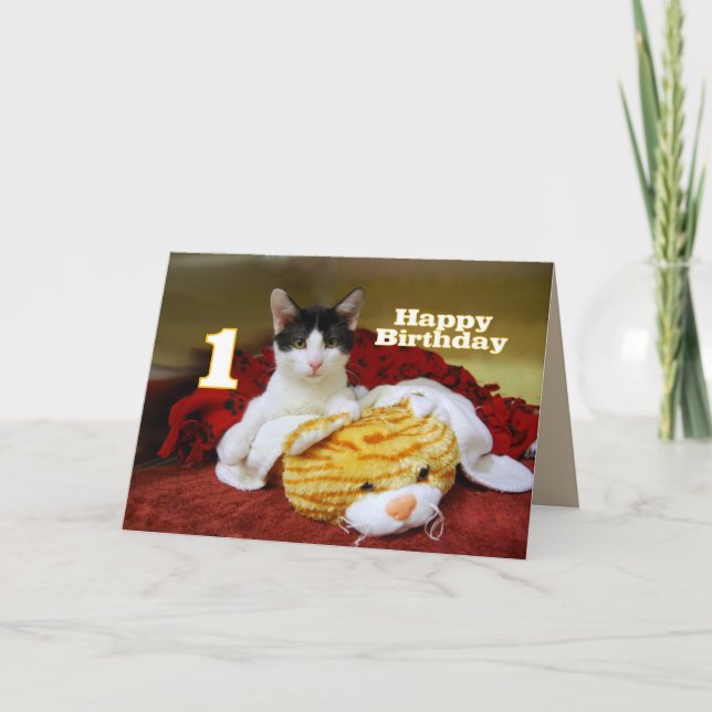 First Birthday Kitten with Toy Tiger Card (Front)