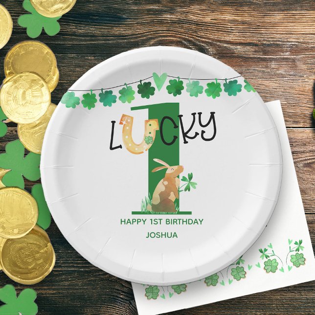 First Birthday Lucky One Irish Theme Party Paper Plate (Lucky One First Birthday Party Plates)