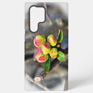 First buds samsung galaxy case