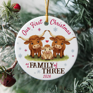 First Christmas as a Family of Three Longhorn Cows Ceramic Ornament