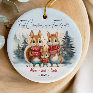 First Christmas as family of 3 rabbits  Ceramic Ornament