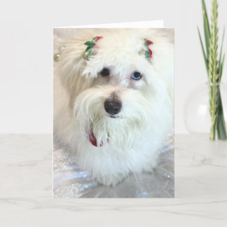 First Christmas  Card