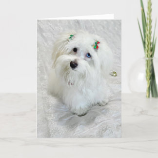 First Christmas  Card