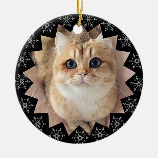 First Christmas Cat Snowflake Frame Photo  Ceramic Ornament (Front)