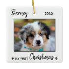 First Christmas Cute Puppy - Simple Dog Pet Photo
