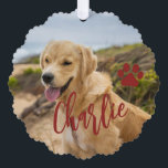 First Christmas dog in forever home photo name red Tree Decoration Card<br><div class="desc">Modern add your pet name dark red burgundy script first Christmas with your dog keepsake tree ornament card.</div>