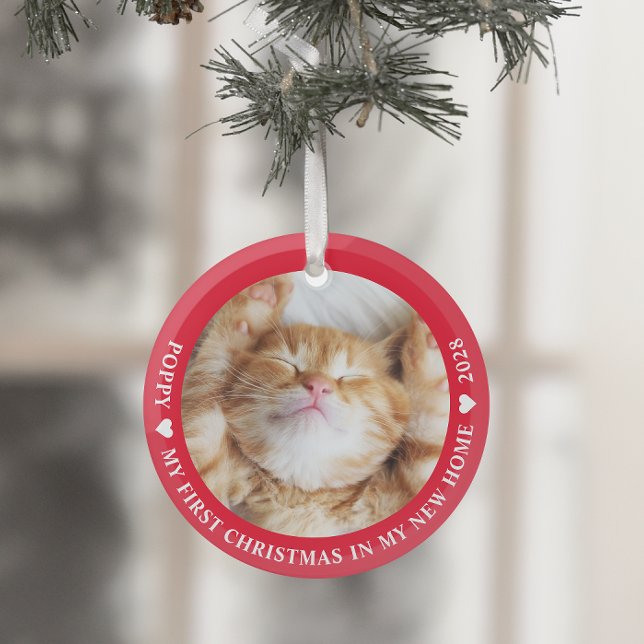 First Christmas Kitten Cat Photo Glass Tree Decoration (Creator Uploaded)