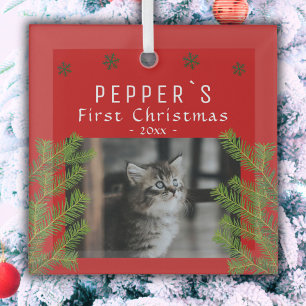 First Christmas Kitten Cat Pine Photo Keepsake Glass Tree Decoration