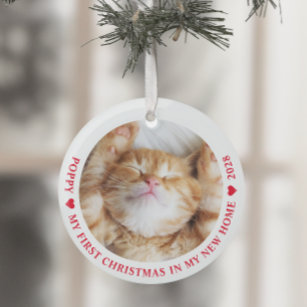 First Christmas New Home Kitten Cat Photo Glass Tree Decoration