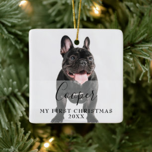 First Christmas Pet 2 Photo Script Name Ceramic Ornament