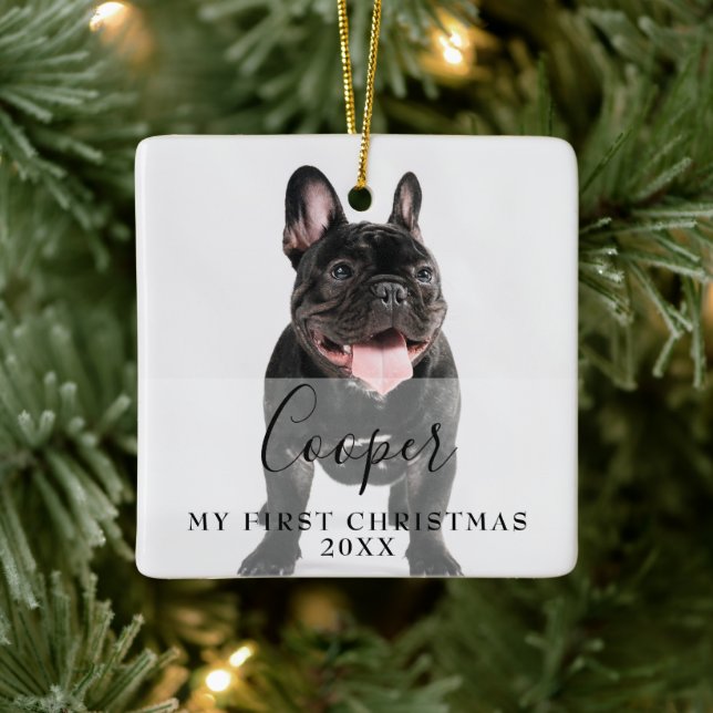 First Christmas Pet 2 Photo Script Name Ceramic Ornament (Tree)