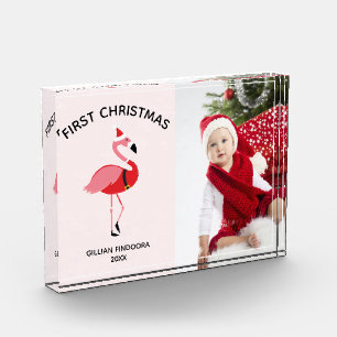 First Christmas Pink Flamingo Santa Photo Block