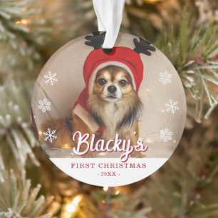 First Christmas Puppy Photo Snowflakes  Ornament