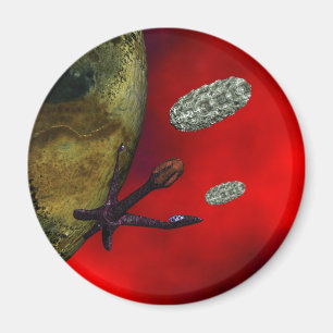 first contact magnet