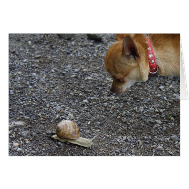 First Date (Front Horizontal)