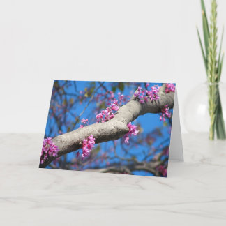 First Day of Spring Card