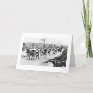 First Dog Team Alaska 1910 Card