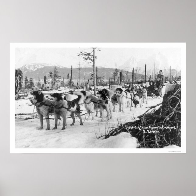 First Dog Team Alaska 1910 Poster (Front)