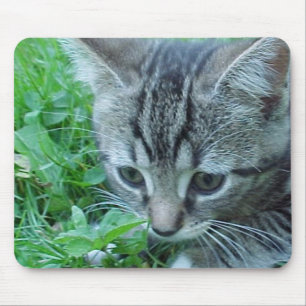 First Explore Mouse Pad