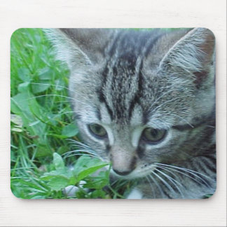 First Explore Mouse Pad