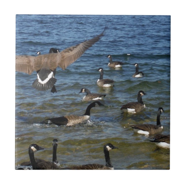First goose to fly, geese on Lake Arrowhead Ceramic Tile (Front)