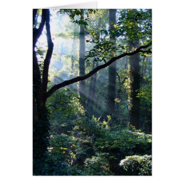 First Light Card (Front)