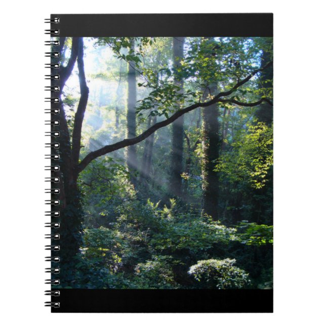 First Light Notebook (Front)