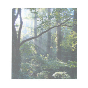 First Light Notepad