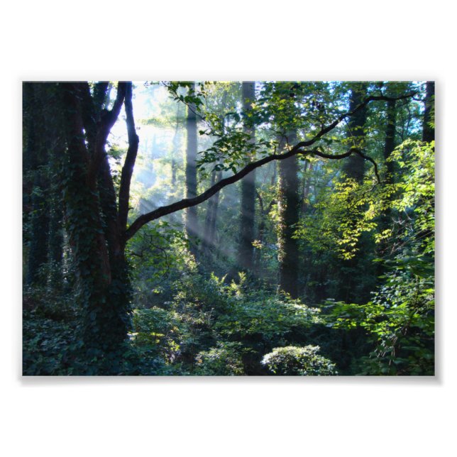 First Light Photo Print (Front)