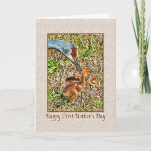 First Mother's Day Card with Birds