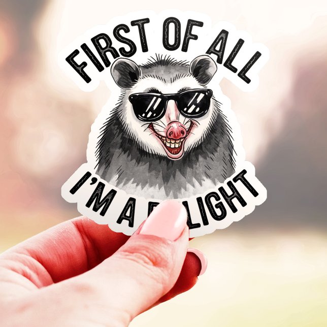 First of All I'm a Delight Opossum Vinyl (Creator Uploaded)