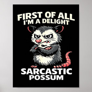 First of all i'm a delight sarcastic possum tee poster