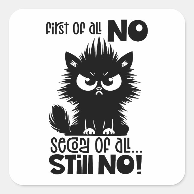 First Of All, No Funny Cat Lover Gift  Square Sticker (Front)