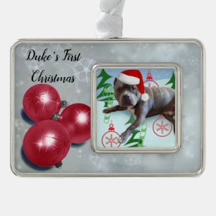 First Pet Christmas Silver Plated Framed Ornament