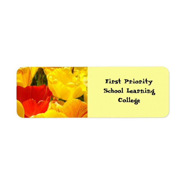 First Priority School Learning labels (Front)