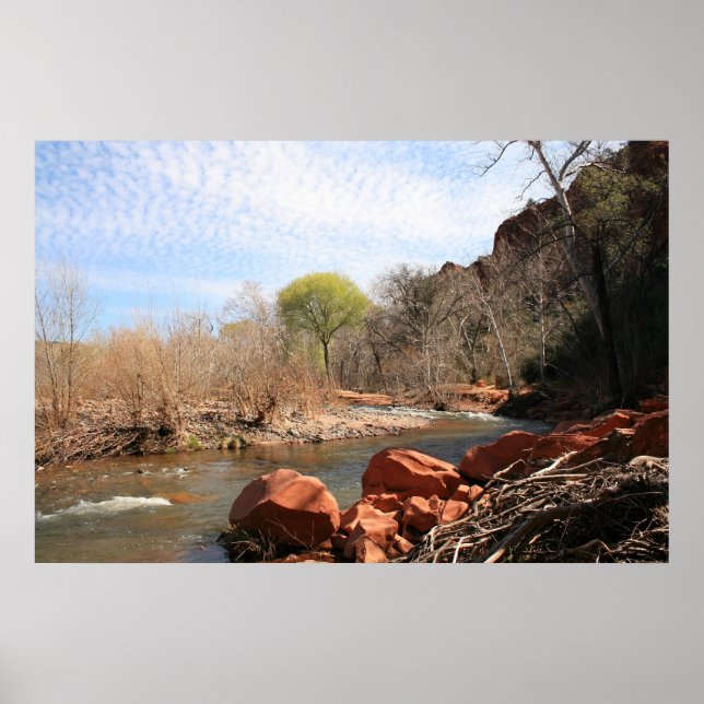 First Show of Spring Poster (Front)