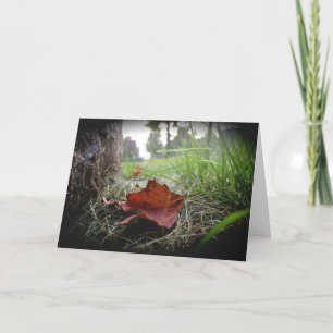 “First Sign of Fall” Sympathy Card