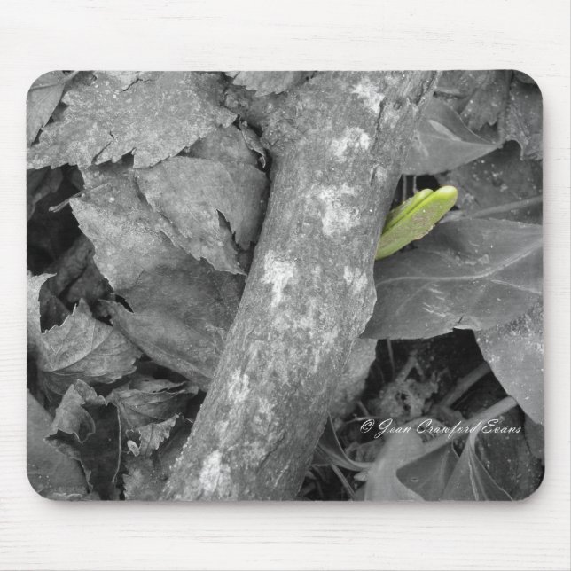 First sign of Spring Mouse Pad (Front)