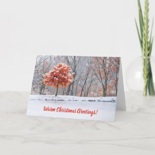 First Snow Christmas Greetings Nature Card