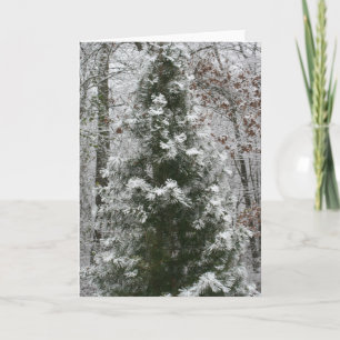 First Snow Holiday Card