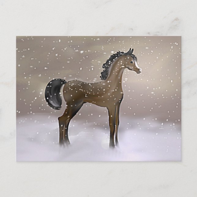 "First Snow" ~ Postcard (Front)