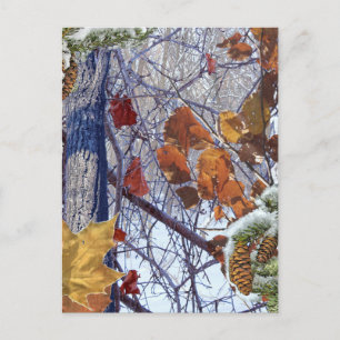 First Snow Winter Camouflage Print Postcard
