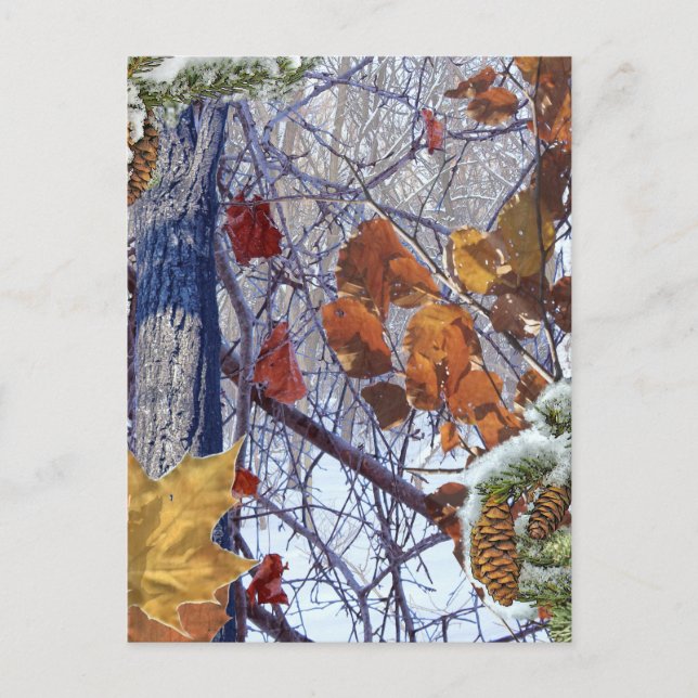 First Snow Winter Camouflage Print Postcard (Front)