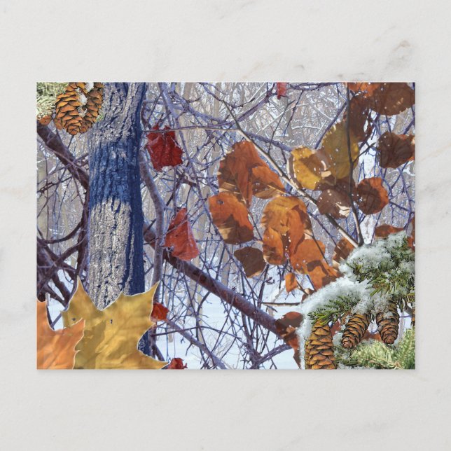 First Snow Winter Forest Camo Print Postcard (Front)