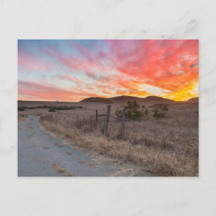 First Sunset of the Day Postcard