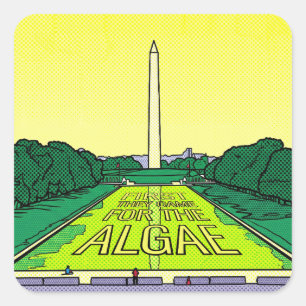First they Came for the Algae DC Reflecting Pool Square Sticker