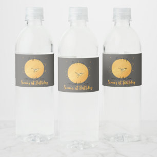 First Trip Around The Sun Paper Aeroplane Birthday Water Bottle Label