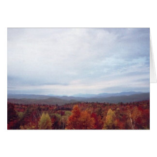 "First view, Bridgewater Mountain B&B"